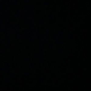 Meet your Posher, Nyla